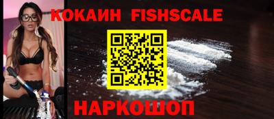 амф Сланцы