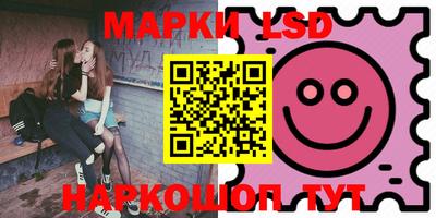 амф Сланцы