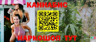 амф Сланцы
