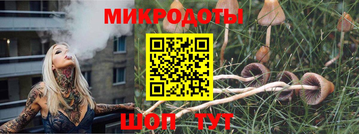 Галлюциногенные грибы Psilocybe Полевской